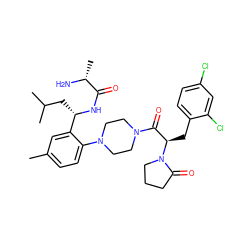 Cc1ccc(N2CCN(C(=O)[C@@H](Cc3ccc(Cl)cc3Cl)N3CCCC3=O)CC2)c([C@H](CC(C)C)NC(=O)[C@@H](C)N)c1 ZINC000028823922