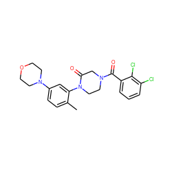 Cc1ccc(N2CCOCC2)cc1N1CCN(C(=O)c2cccc(Cl)c2Cl)CC1=O ZINC000059286399