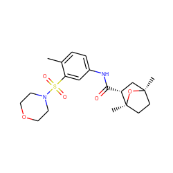 Cc1ccc(NC(=O)[C@@H]2C[C@@]3(C)CC[C@]2(C)O3)cc1S(=O)(=O)N1CCOCC1 ZINC000040979373