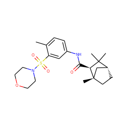 Cc1ccc(NC(=O)[C@H]2C(C)(C)[C@@H]3CC[C@@]2(C)C3)cc1S(=O)(=O)N1CCOCC1 ZINC000040915168