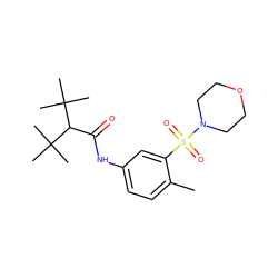 Cc1ccc(NC(=O)C(C(C)(C)C)C(C)(C)C)cc1S(=O)(=O)N1CCOCC1 ZINC000040401579