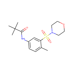 Cc1ccc(NC(=O)C(C)(C)C)cc1S(=O)(=O)N1CCOCC1 ZINC000015311345