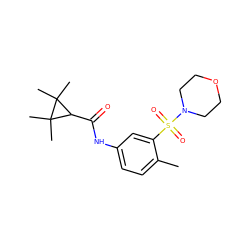 Cc1ccc(NC(=O)C2C(C)(C)C2(C)C)cc1S(=O)(=O)N1CCOCC1 ZINC000040897914