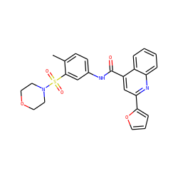 Cc1ccc(NC(=O)c2cc(-c3ccco3)nc3ccccc23)cc1S(=O)(=O)N1CCOCC1 ZINC000009689803