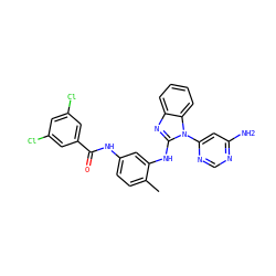 Cc1ccc(NC(=O)c2cc(Cl)cc(Cl)c2)cc1Nc1nc2ccccc2n1-c1cc(N)ncn1 ZINC000049032274