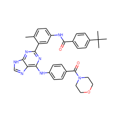 Cc1ccc(NC(=O)c2ccc(C(C)(C)C)cc2)cc1-c1nc(Nc2ccc(C(=O)N3CCOCC3)cc2)c2nc[nH]c2n1 ZINC000169341168