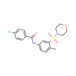 Cc1ccc(NC(=O)c2ccc(Cl)cc2)cc1S(=O)(=O)N1CCOCC1 ZINC000006286116