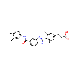 Cc1ccc(NC(=O)c2ccc3[nH]c(-c4c(C)cc(CCC(=O)O)cc4C)nc3c2)cc1C ZINC000084723074