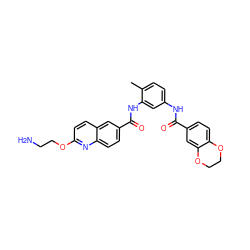 Cc1ccc(NC(=O)c2ccc3c(c2)OCCO3)cc1NC(=O)c1ccc2nc(OCCN)ccc2c1 ZINC001772635831