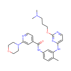 Cc1ccc(NC(=O)c2ccnc(N3CCOCC3)c2)cc1Nc1ccnc(OCCCN(C)C)n1 ZINC000028388730