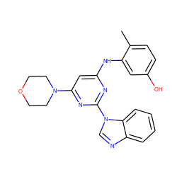 Cc1ccc(O)cc1Nc1cc(N2CCOCC2)nc(-n2cnc3ccccc32)n1 ZINC000036187676