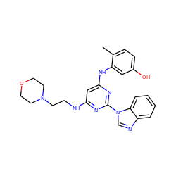 Cc1ccc(O)cc1Nc1cc(NCCN2CCOCC2)nc(-n2cnc3ccccc32)n1 ZINC000028604179