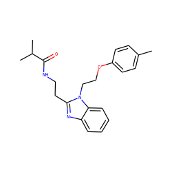 Cc1ccc(OCCn2c(CCNC(=O)C(C)C)nc3ccccc32)cc1 ZINC000000646681