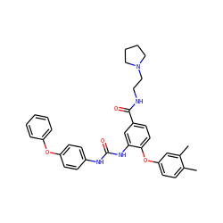 Cc1ccc(Oc2ccc(C(=O)NCCN3CCCC3)cc2NC(=O)Nc2ccc(Oc3ccccc3)cc2)cc1C ZINC000036351772