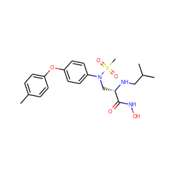 Cc1ccc(Oc2ccc(N(C[C@H](NCC(C)C)C(=O)NO)S(C)(=O)=O)cc2)cc1 ZINC000029039713