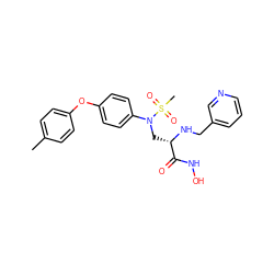 Cc1ccc(Oc2ccc(N(C[C@H](NCc3cccnc3)C(=O)NO)S(C)(=O)=O)cc2)cc1 ZINC000096319065