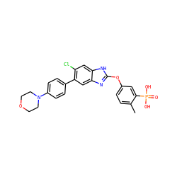 Cc1ccc(Oc2nc3cc(-c4ccc(N5CCOCC5)cc4)c(Cl)cc3[nH]2)cc1P(=O)(O)O ZINC000068203302