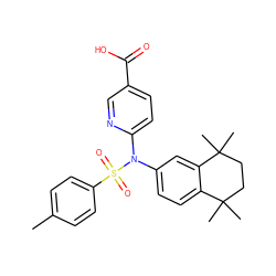 Cc1ccc(S(=O)(=O)N(c2ccc3c(c2)C(C)(C)CCC3(C)C)c2ccc(C(=O)O)cn2)cc1 ZINC000040933591