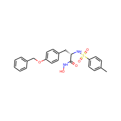 Cc1ccc(S(=O)(=O)N[C@@H](Cc2ccc(OCc3ccccc3)cc2)C(=O)NO)cc1 ZINC000095560387