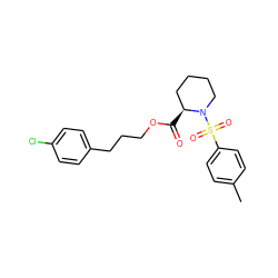 Cc1ccc(S(=O)(=O)N2CCCC[C@@H]2C(=O)OCCCc2ccc(Cl)cc2)cc1 ZINC000013441778