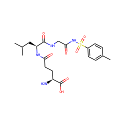 Cc1ccc(S(=O)(=O)NC(=O)CNC(=O)[C@H](CC(C)C)NC(=O)CC[C@H](N)C(=O)O)cc1 ZINC000026572981