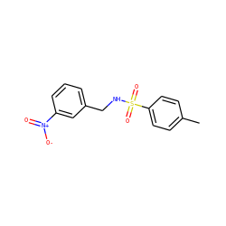 Cc1ccc(S(=O)(=O)NCc2cccc([N+](=O)[O-])c2)cc1 ZINC000001748295