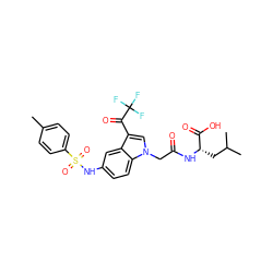 Cc1ccc(S(=O)(=O)Nc2ccc3c(c2)c(C(=O)C(F)(F)F)cn3CC(=O)N[C@@H](CC(C)C)C(=O)O)cc1 ZINC000254286811