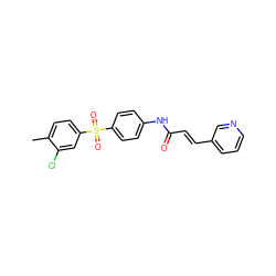 Cc1ccc(S(=O)(=O)c2ccc(NC(=O)/C=C/c3cccnc3)cc2)cc1Cl ZINC000142258801