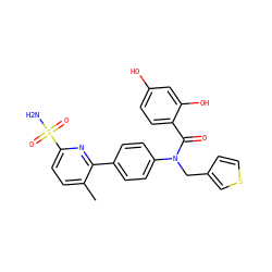 Cc1ccc(S(N)(=O)=O)nc1-c1ccc(N(Cc2ccsc2)C(=O)c2ccc(O)cc2O)cc1 ZINC000653752911