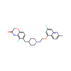 Cc1ccc2c(OCCN3CCC(Cc4ccc5c(c4F)NC(=O)CO5)CC3)cc(F)cc2n1 ZINC000028887265