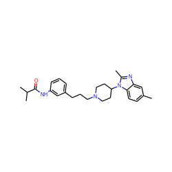Cc1ccc2c(c1)nc(C)n2C1CCN(CCCc2cccc(NC(=O)C(C)C)c2)CC1 ZINC000029128380