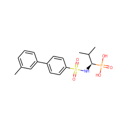 Cc1cccc(-c2ccc(S(=O)(=O)N[C@@H](C(C)C)P(=O)(O)O)cc2)c1 ZINC000028640032