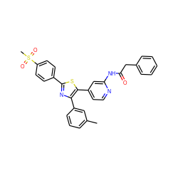 Cc1cccc(-c2nc(-c3ccc(S(C)(=O)=O)cc3)sc2-c2ccnc(NC(=O)Cc3ccccc3)c2)c1 ZINC000028528506