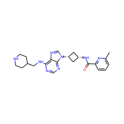 Cc1cccc(C(=O)N[C@H]2C[C@@H](n3cnc4c(NCC5CCNCC5)ncnc43)C2)n1 ZINC001772655166