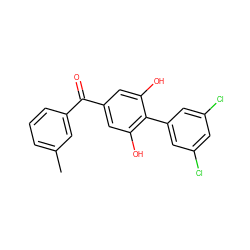 Cc1cccc(C(=O)c2cc(O)c(-c3cc(Cl)cc(Cl)c3)c(O)c2)c1 ZINC000473107348