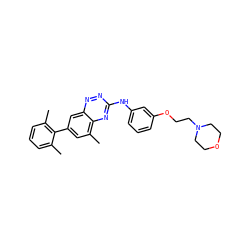 Cc1cccc(C)c1-c1cc(C)c2nc(Nc3cccc(OCCN4CCOCC4)c3)nnc2c1 ZINC000028702850