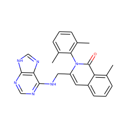 Cc1cccc(C)c1-n1c(CNc2ncnc3[nH]cnc23)cc2cccc(C)c2c1=O ZINC000088346027