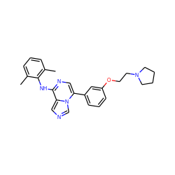 Cc1cccc(C)c1Nc1ncc(-c2cccc(OCCN3CCCC3)c2)n2cncc12 ZINC000028639382