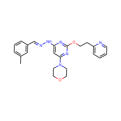 Cc1cccc(C=NNc2cc(N3CCOCC3)nc(OCCc3ccccn3)n2)c1 ZINC000254143390