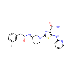 Cc1cccc(CC(=O)N[C@@H]2CCCN(c3nc(C(N)=O)c(Nc4ccccn4)s3)C2)c1 ZINC000209438861