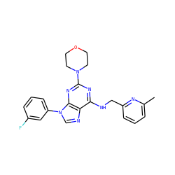 Cc1cccc(CNc2nc(N3CCOCC3)nc3c2ncn3-c2cccc(F)c2)n1 ZINC000202060369