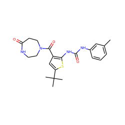 Cc1cccc(NC(=O)Nc2sc(C(C)(C)C)cc2C(=O)N2CCNC(=O)CC2)c1 ZINC000073199491