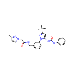 Cc1ccn(CC(=O)NCc2cccc(-n3nc(C(C)(C)C)cc3NC(=O)Nc3ccccc3)c2)n1 ZINC000058506492