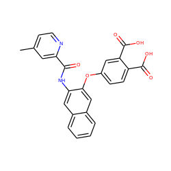 Cc1ccnc(C(=O)Nc2cc3ccccc3cc2Oc2ccc(C(=O)O)c(C(=O)O)c2)c1 ZINC000013587600