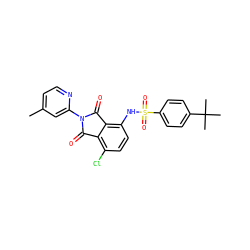 Cc1ccnc(N2C(=O)c3c(Cl)ccc(NS(=O)(=O)c4ccc(C(C)(C)C)cc4)c3C2=O)c1 ZINC000653848910