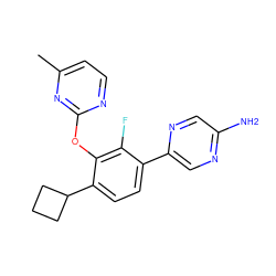 Cc1ccnc(Oc2c(C3CCC3)ccc(-c3cnc(N)cn3)c2F)n1 ZINC000212128184