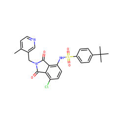 Cc1ccncc1CN1C(=O)c2c(Cl)ccc(NS(=O)(=O)c3ccc(C(C)(C)C)cc3)c2C1=O ZINC000653852931