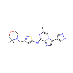 Cc1cn2c(-c3cn[nH]c3)cnc2c(Nc2cc(CN3CCOCC3(C)C)ns2)n1 ZINC000064512929