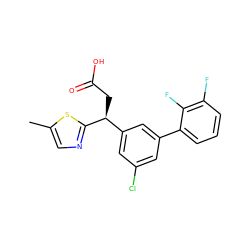 Cc1cnc([C@@H](CC(=O)O)c2cc(Cl)cc(-c3cccc(F)c3F)c2)s1 ZINC001772631587