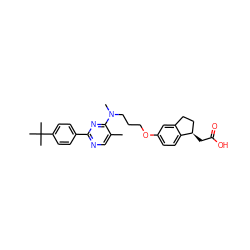 Cc1cnc(-c2ccc(C(C)(C)C)cc2)nc1N(C)CCCOc1ccc2c(c1)CC[C@H]2CC(=O)O ZINC000028891492